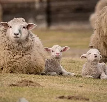 ополнительное фото тура 