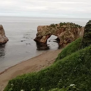 Фото отзыва