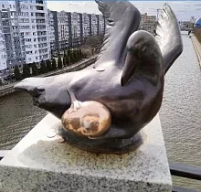 ополнительное фото тура 