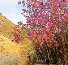 ополнительное фото тура 