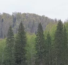 ополнительное фото тура 