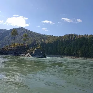 Фото отзыва