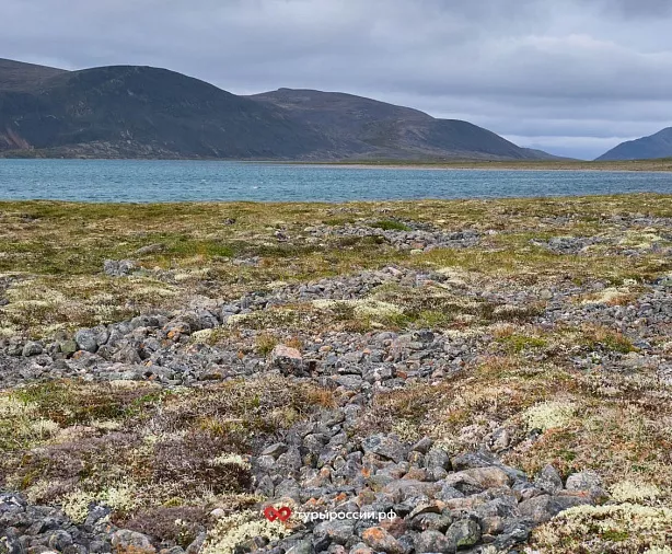 Изображение статьи Национальный парк «Берингия» — как добраться, где жить, что посмотреть Туры России