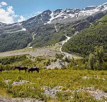 ополнительное фото тура 