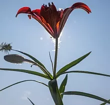 ополнительное фото тура 