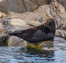 ополнительное фото тура 