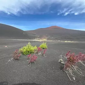 Фото отзыва