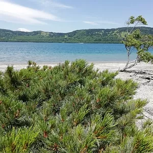 Фото отзыва