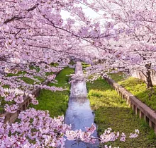 ополнительное фото тура 