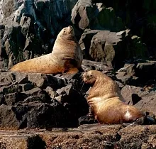 ополнительное фото тура 