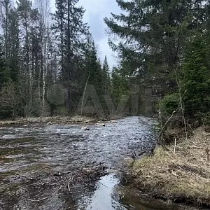 Фото отзыва