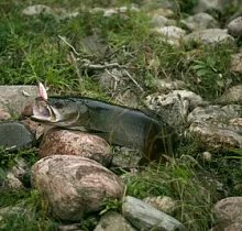 ополнительное фото тура 