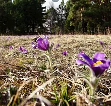Место проживания в туре 