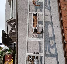 ополнительное фото тура 