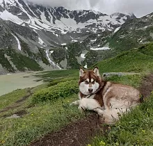 ополнительное фото тура 