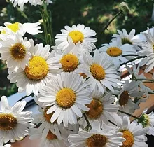 ополнительное фото тура 