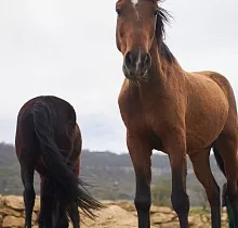 ополнительное фото тура 