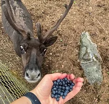 ополнительное фото тура 