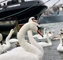 ополнительное фото тура 