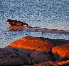 ополнительное фото тура 