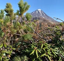 ополнительное фото тура 