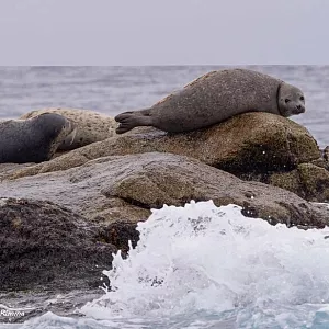 Фото отзыва