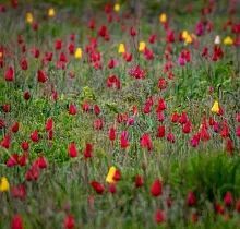 ополнительное фото тура