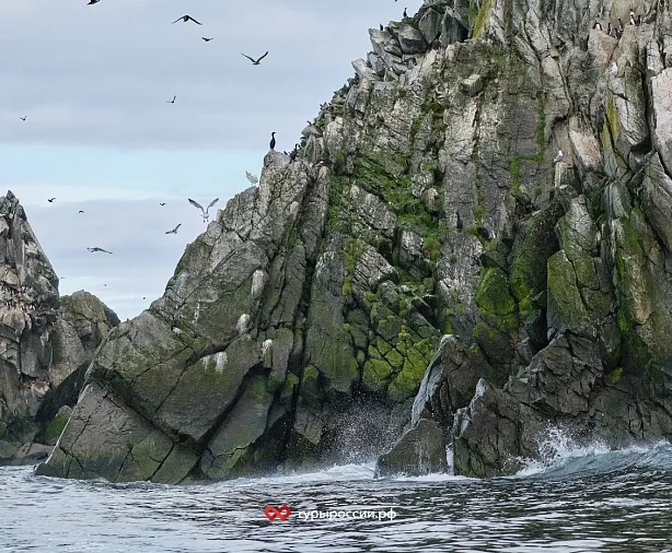 Изображение статьи Национальный парк «Берингия» — как добраться, где жить, что посмотреть Туры России