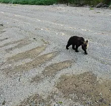 ополнительное фото тура 