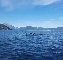 ополнительное фото тура 