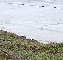 ополнительное фото тура 