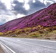 ополнительное фото тура 