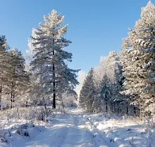 ополнительное фото тура 