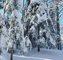 ополнительное фото тура 