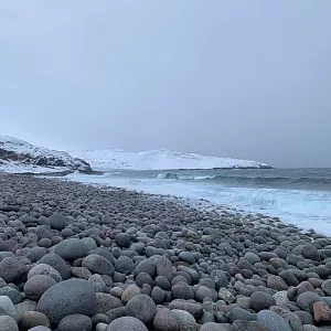 Фото отзыва