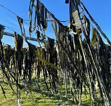 ополнительное фото тура 