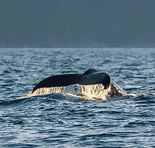 ополнительное фото тура 