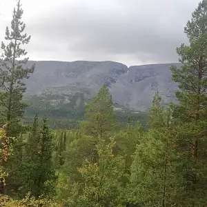 Фото отзыва