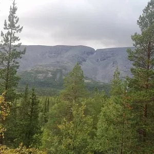Фото отзыва