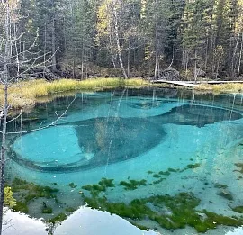 Тур PROАлтай: Сила гор