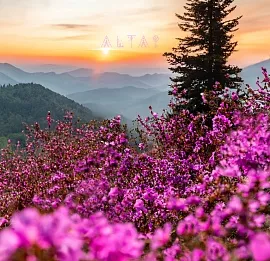 Тур Цветение маральника в малой группе за 5 дней