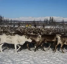 ополнительное фото тура 