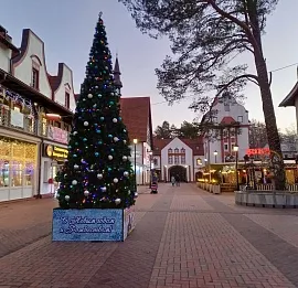 Тур Встреча Нового года в сказочном Светлогорске на берегу Балтийского моря