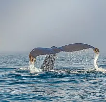 ополнительное фото тура 