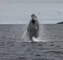 ополнительное фото тура 