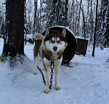 ополнительное фото тура 