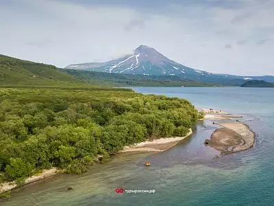 Медведи на Курильском озере