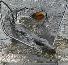 ополнительное фото тура 