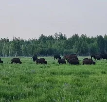 ополнительное фото тура 