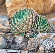 ополнительное фото тура 